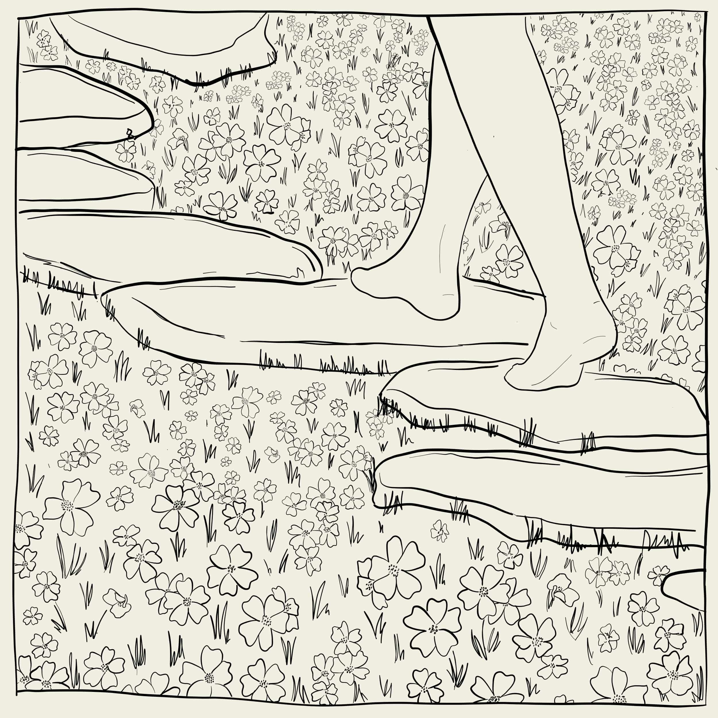 a drawing of someone walking down a rock path with lots of flower